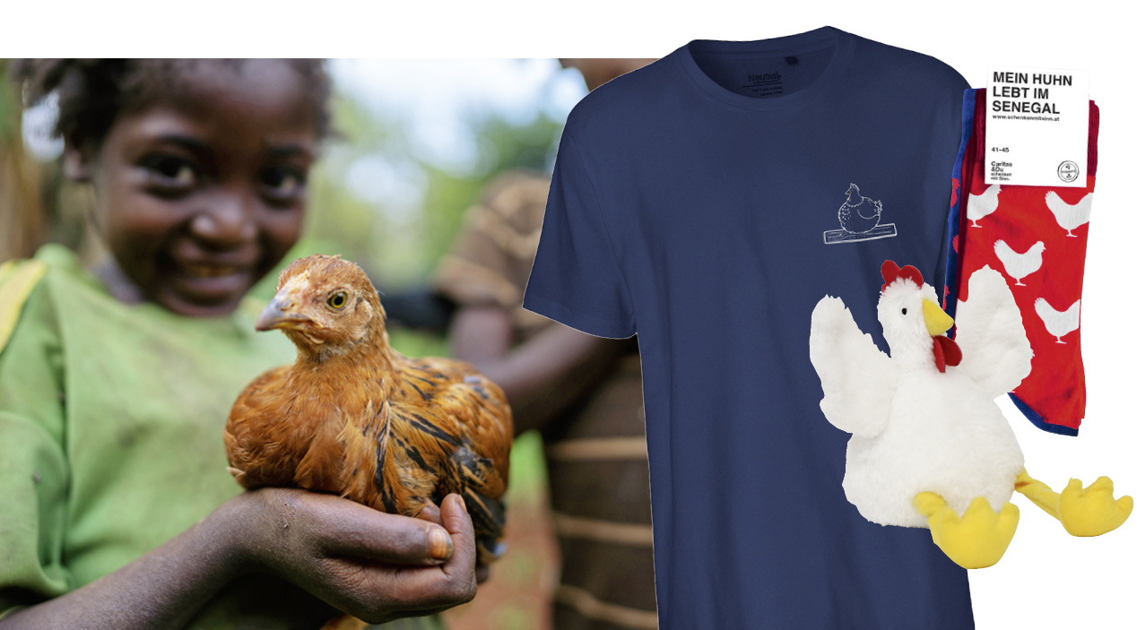 Eine Collage mit Bildern vom Hilfsprojekt "Hühnerschar", einem T-Shirt und den "Hühnersocken"